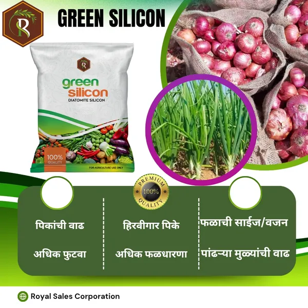 Green_Silicon_|_2Kg__|_Diatomite_Silico_60%_|_Plant_Protection
