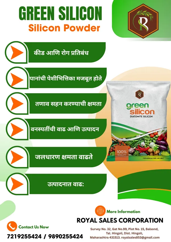 Green_Silicon_|_2Kg__|_Diatomite_Silico_60%_|_Plant_Protection