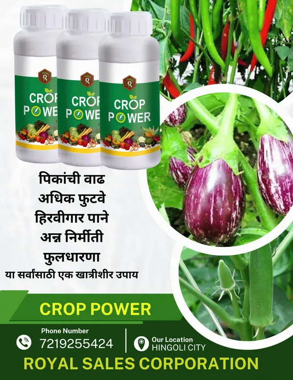 Crop_Power_|_1_Lit_|__Biostimulant_|_Growth_Promoter_|_Enhance_Yield