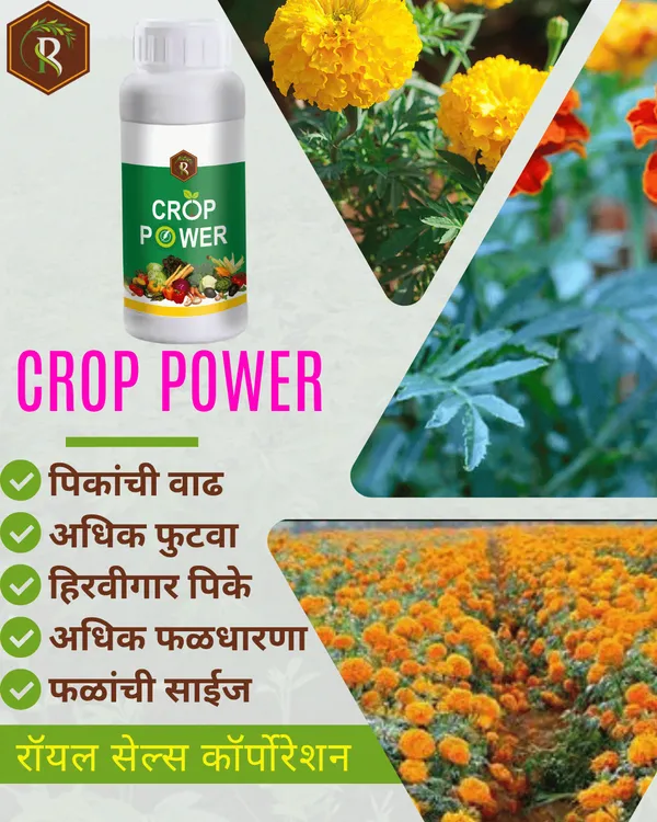 Crop_Power_|_1_Lit_|__Biostimulant_|_Growth_Promoter_|_Enhance_Yield