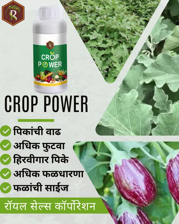 Crop_Power_|_1_Lit_|__Biostimulant_|_Growth_Promoter_|_Enhance_Yield