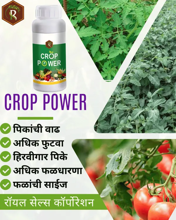Crop_Power_|_1_Lit_|__Biostimulant_|_Growth_Promoter_|_Enhance_Yield