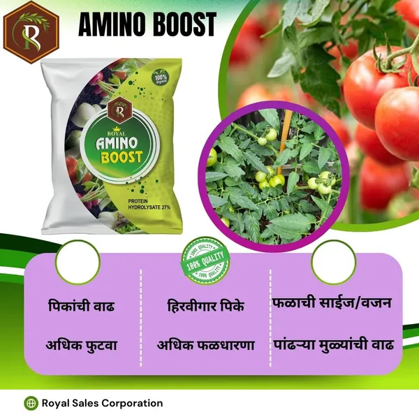 Amino_Boost_|_2Kg_|_Amino_Acid_Powder_80%__|_Increase_The_Content_Of_Chlorophyll
