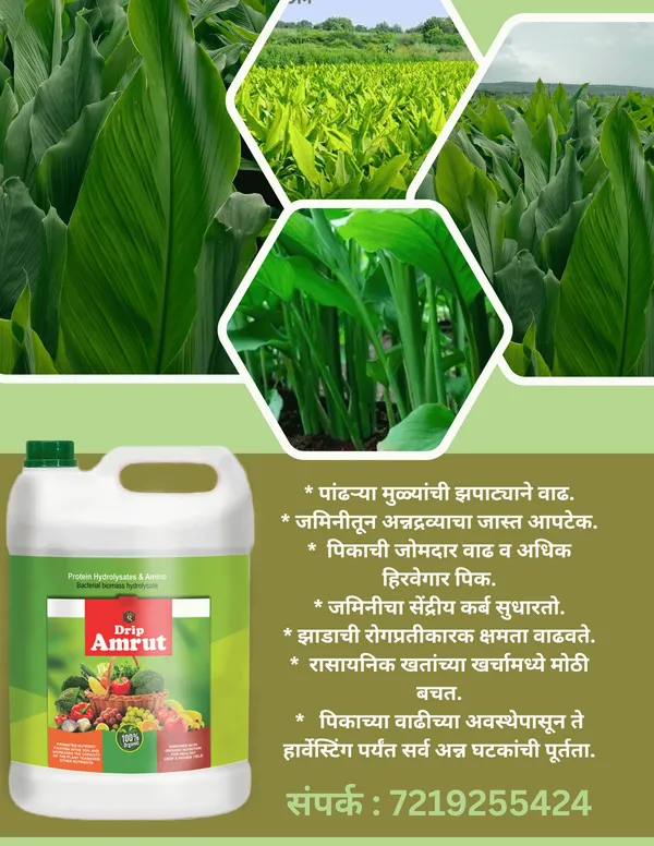 Royal_Drip_Amrut_|_5Lit_|_Drip_Special_Plant_Growth_Promoter_|_5Lit_per_acre