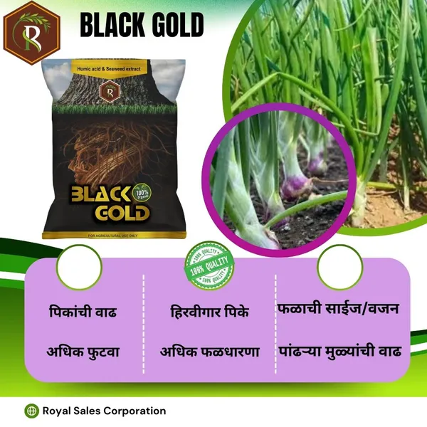Royal_Black_Gold_|_2Kg_|_Humic_Acid_98_Fertilizer_for_All_Crop_|_Nutrition_&_Root_Growth