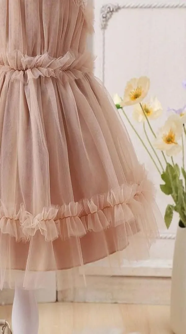 Brown_Baby_Girls_Net_Ruffle_Sleeveless_Frock_Dress_-_Fit_&_Flare_Party_Wear_Knee-Length