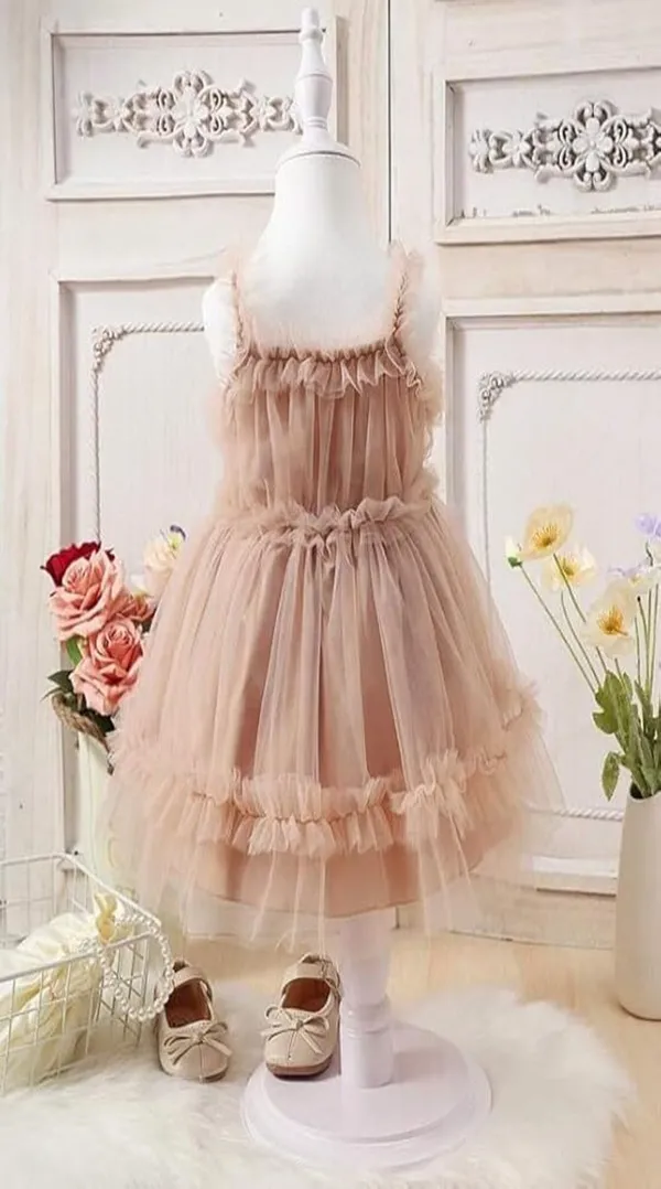 Brown_Baby_Girls_Net_Ruffle_Sleeveless_Frock_Dress_-_Fit_&_Flare_Party_Wear_Knee-Length