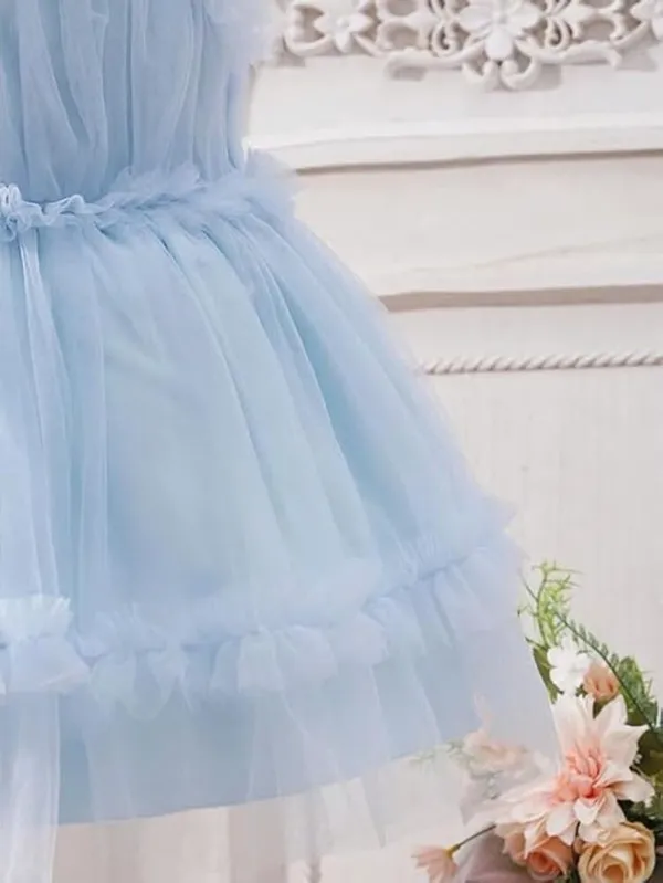 Blue_Baby_Girls_Net_Ruffle_Sleeveless_Frock_Dress_-_Fit_&_Flare_Party_Wear_Knee-Length