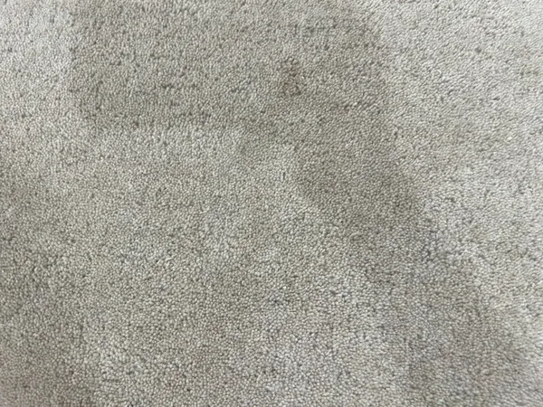 Beige_Area_Rug_Wool_For_Home_&_Office