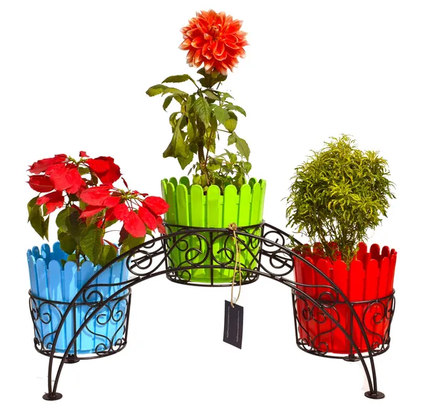 Iron_Indoor/Outdoor_Flower_Pot/Plant_Stand/Gamla_Stand_Heavy_Duty_Iron_Used_for_Home_Garden_Balcony_Living_Room_Decor_Free_Plastic_Pots_As_per_Picture