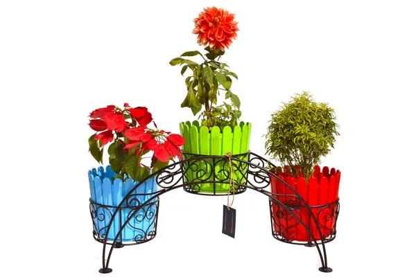 Copper_3_Tier_Black_Chand_Plant_Metal_Pot_Stand_Display_Shelf_Indoor_Outdoor_Flower_Rack_Holder_-_Planter_Shelves_For_Indoor_Oxygen_Plants_With_Earthen_Pots