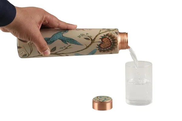 Copper_Handmade_Copper_Bottle_Stone_Blue_Butterfly_Printed_Meena_Exact_Handcrafted,_1_Liter,_Clear