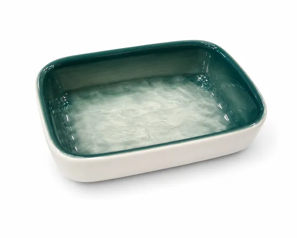 Imperial_Cup