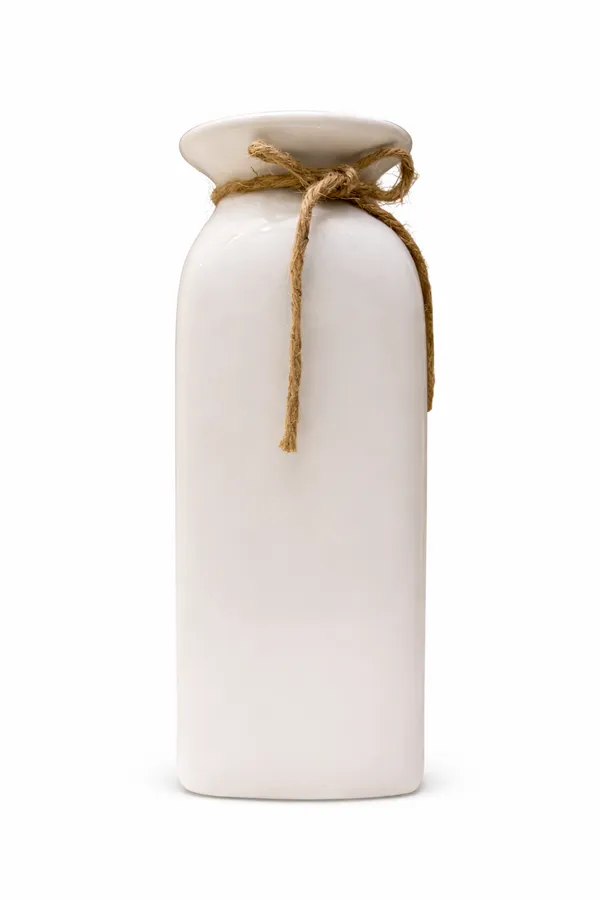 Off_White_Ceramic_With_Jute_Rope_Rope_Neck_Vase_For_Home_Decor