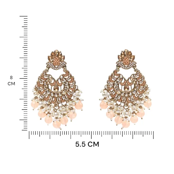 Pitch_Elegant_Design_Earrings_Chandbali_Earrings_Afgani_Style_Earrings_For_Women