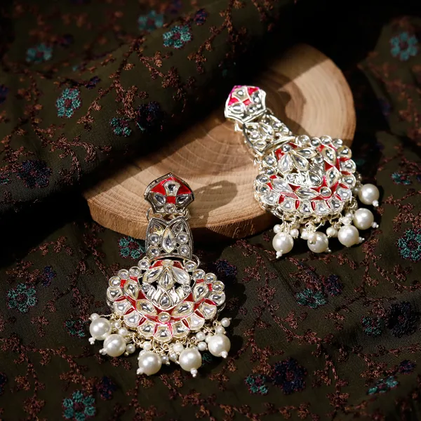 Ranipink_Elegant_Design_Earrings_For_Women