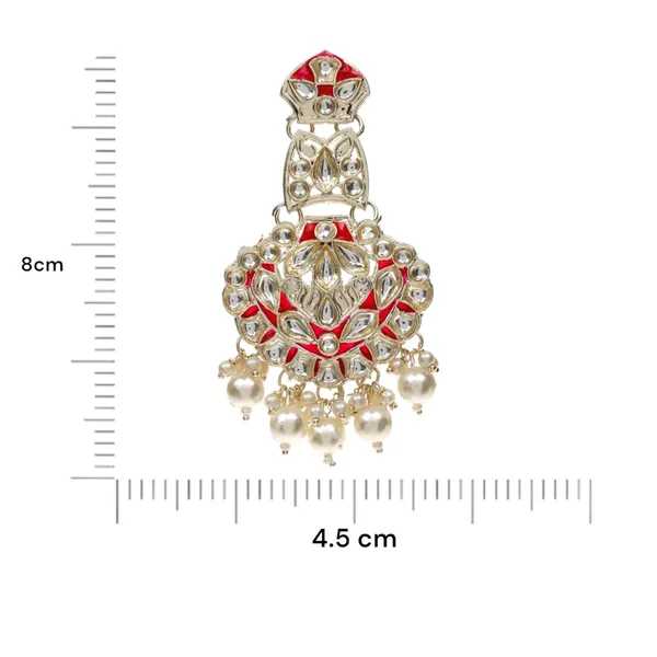 Ranipink_Elegant_Design_Earrings_For_Women