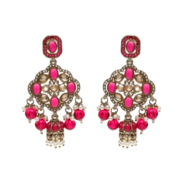 Ranipink_Elegant_Design_Earrings_For_Women