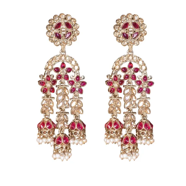 Ranipink_Elegant_Design_Earrings_For_Women