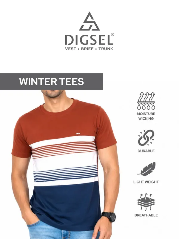 Digsel_Men_Cotton_Blended_Stripes_T_shirt_pack_of_2