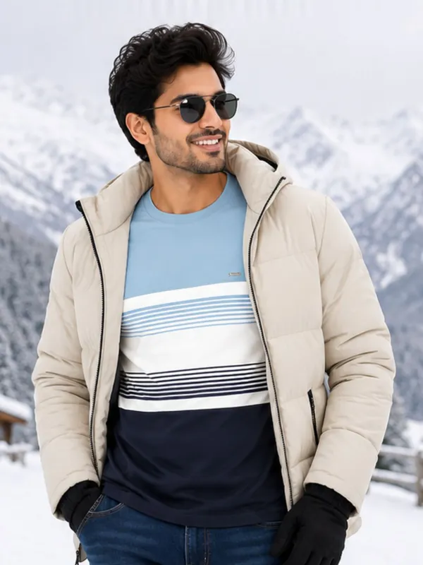 Digsel_Men_Cotton_Blended_Premium_Stripes_T_shirt_pack_of_1