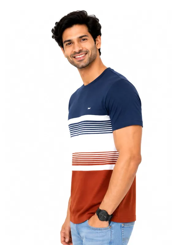 Digsel_Men_Cotton_Blended_Stripes_T_shirt_pack_of_1