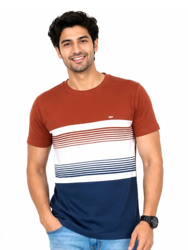 Digsel_Men_Cotton_Blended_Stripes_T_shirt_pack_of_1