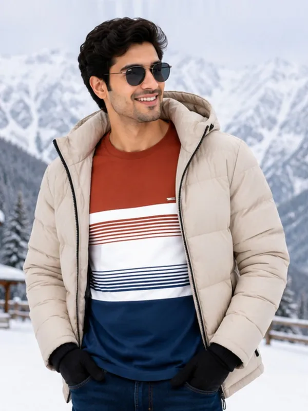 Digsel_Men_Cotton_Blended_Stripes_T_shirt_pack_of_1