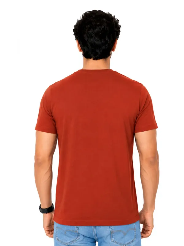 Digsel_Men_Cotton_Blended_Stripes_T_shirt_pack_of_1