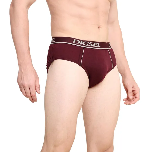 Pack_Of_3_Digsel_Men_Outer_Elastic_Briefs_Fogg
