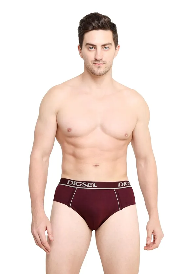 Pack_Of_3_Digsel_Men_Outer_Elastic_Briefs_Fogg