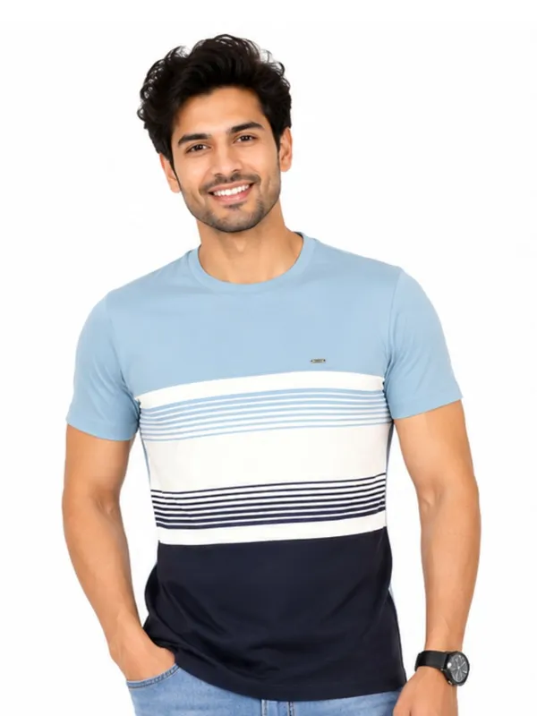 Digsel_Men_Cotton_Blended_Stripes_T_shirt_pack_of_2