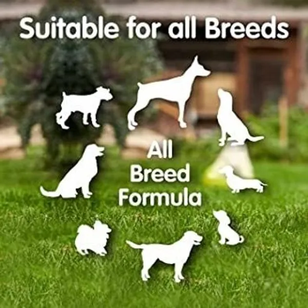 Dog_Biscuit_And_Mutton_Stick