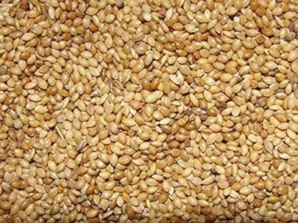 Quality_Kangni_Seed_Bird_Food_Foxtail_Millet_Seeds_For_Birds