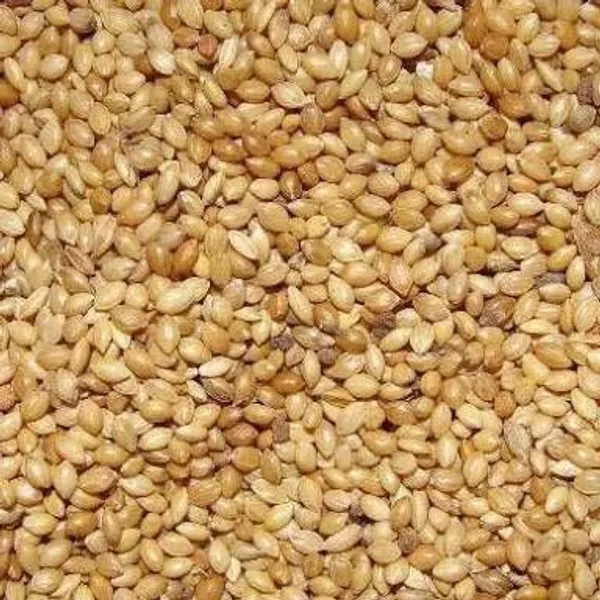 Quality_Kangni_Seed_Bird_Food_Foxtail_Millet_Seeds_For_Birds