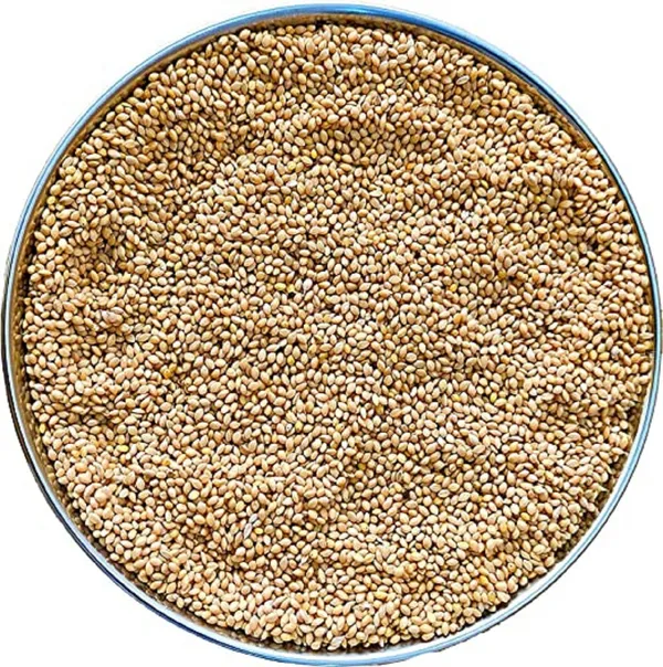 Small_Size_Kangni_Seeds_Bird_Food_1Kg