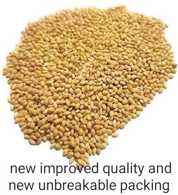 Kangni_Seeds_Bird_Food_Fruit_|_Dry_Adult,_Senior,_Young_Bird_Food