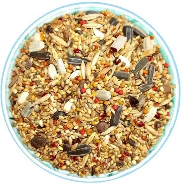 Mixed_Multi_Seeds_Nuts_Natural_Birds_Foods