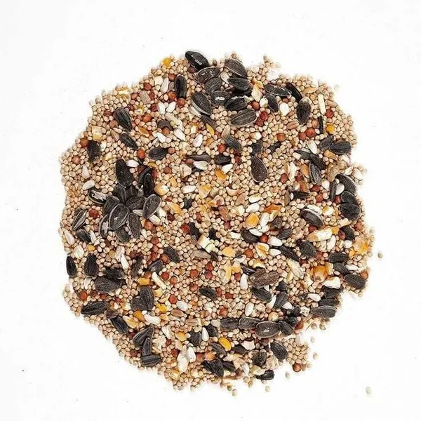 Mixed_Multi_Seeds_Nuts_Natural_Birds_Foods