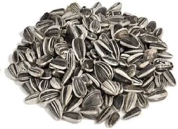 Sun_Flower_Seeds_For_Bird_Food_Dry_Adult_Senior_Young_Bird_Food