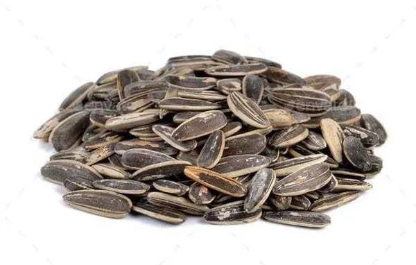 Sun_Flower_Seeds_For_Bird_Food