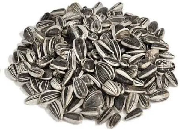 Sun_Flower_Seeds_For_Bird_Food
