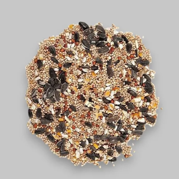 Mixed_Multi_Seeds_Nuts_Natural_Birds_Foods