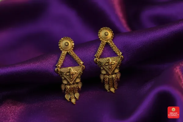 Raani_Haar_(RHS_1.3)