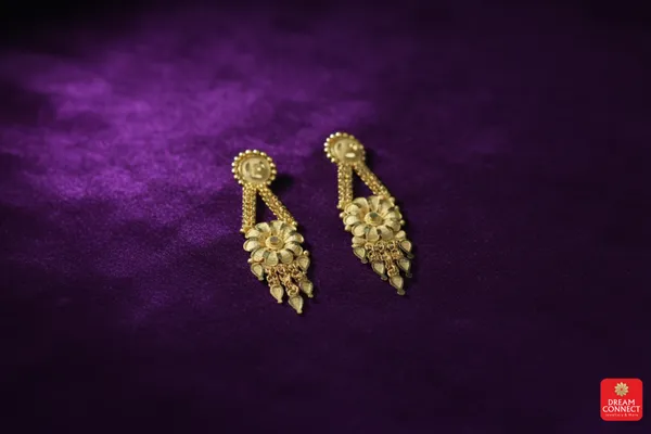 Raani_Haar_(RHS_1.2)