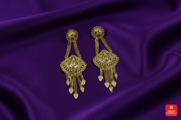 Raani_Haar_RHS_2.2