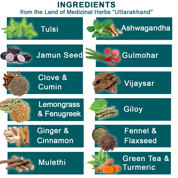 100%_Natural_Diabetic_Care_Tea_|_Blend_Of_Tulsi,_Ashwagandha,_Jamun_Seed,_Gulmahar,_Clove,_Cumin,_Vijaysar,_Lemongrass,_Fenugreek,_Giloy,_Ginger,_Cinnamon,_Fennel,_Flaxseed,_Mulethi,_Green_Tea,_Turmeric_|_Supports_Digestion,_Reduce_Acidity