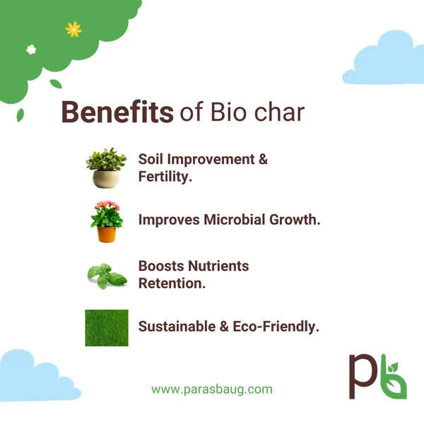 Biochar_Soil_Improvement_&_Fertility