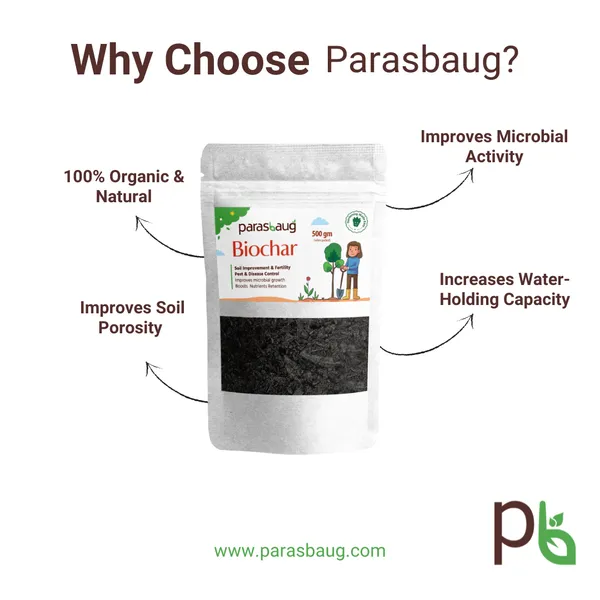 Biochar_Soil_Improvement_&_Fertility