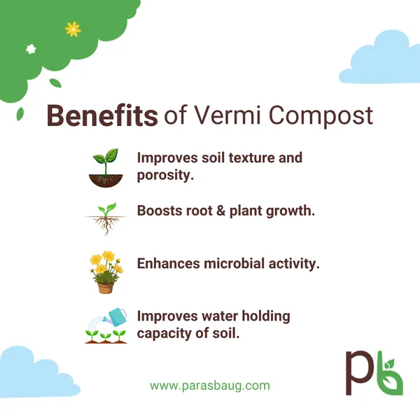 Vermicompost_Root_&_Plant_Growth